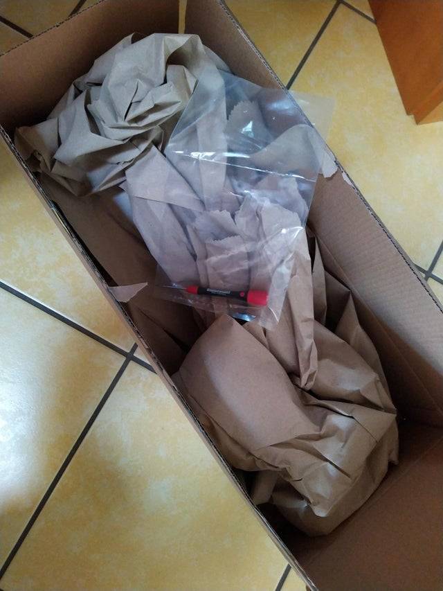 Им было дано лишь одно задание и они его провалили: 13 смешных фото Им было дано лишь одно задание и они его провалили: 13 смешных фото