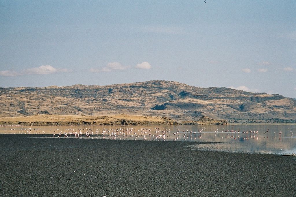 Красное озеро Натрон (Lake Natron)