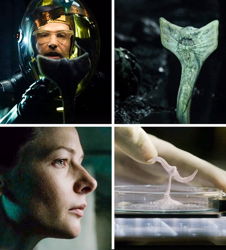 15 глупейших поступков, которые персонажи повторяют из фильма в фильм 15 глупейших поступков, которые персонажи повторяют из фильма в фильм интересное,кино