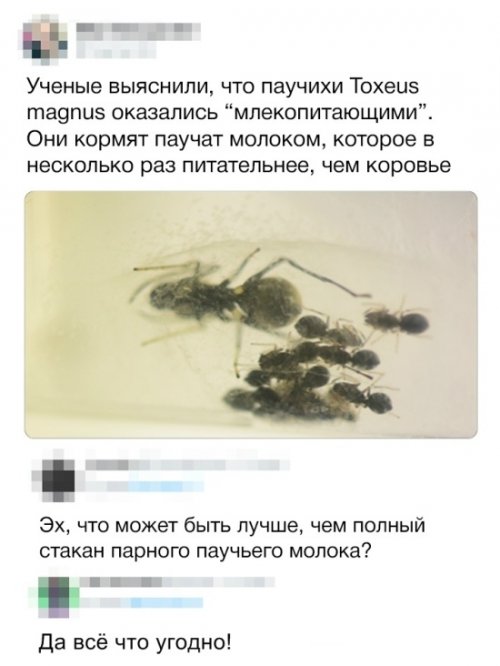 Позитивчик в забавных картинках Позитивчик в забавных картинках