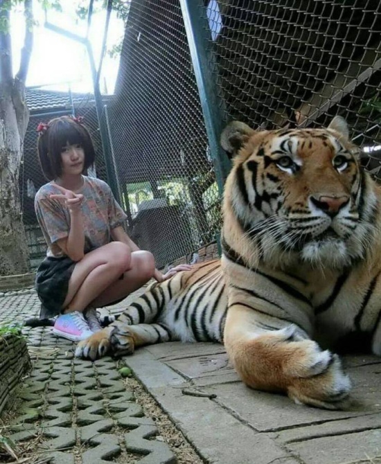 Подборка смешных картинок  смешные картинки