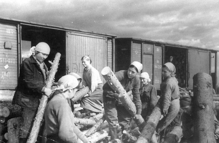 История блокадного Ленинграда в фотографиях доказательства