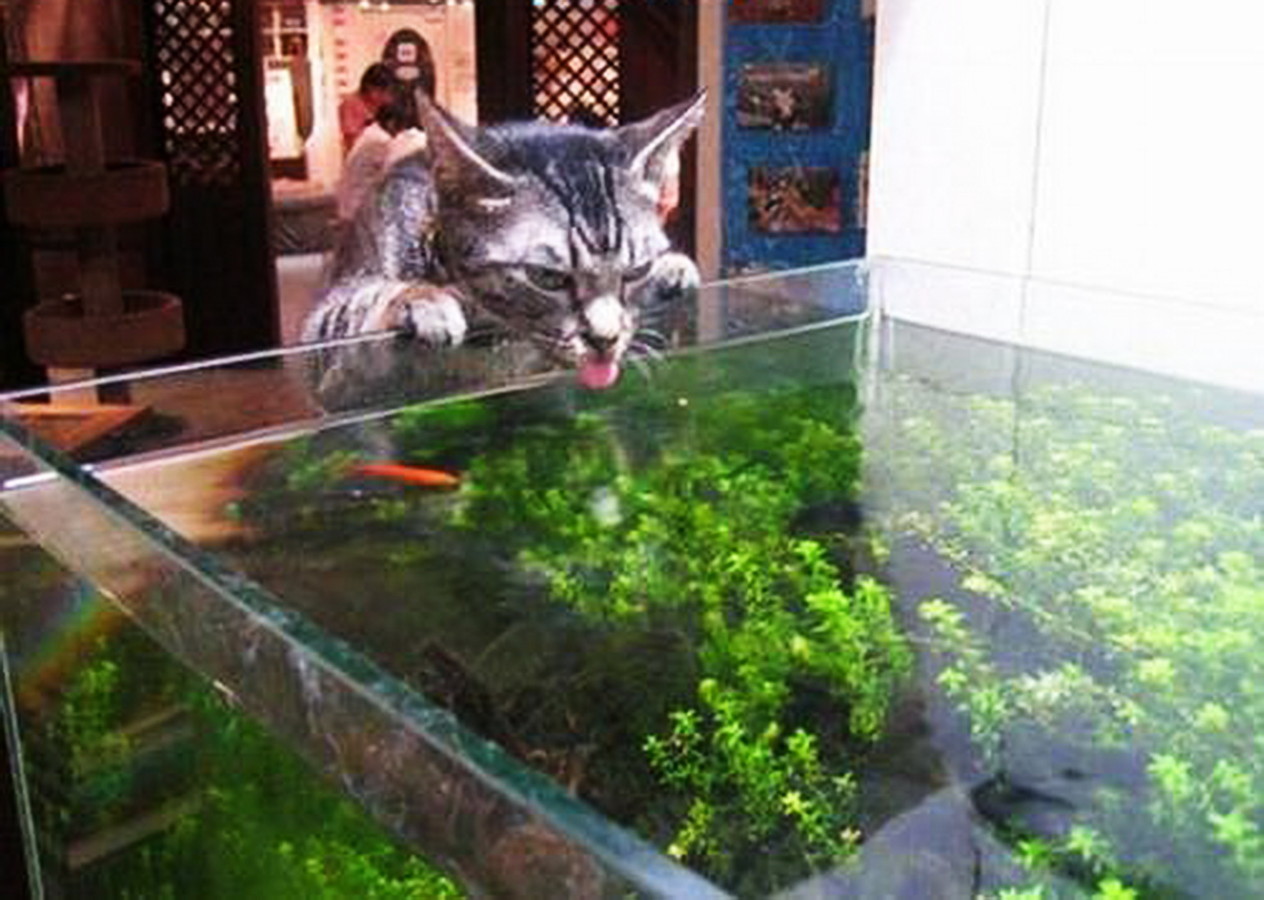 Оставь коту воды побольше