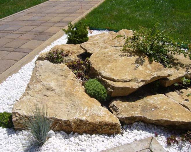Рокарий – основные виды каменного сада и особенности каждого варианта ландшафтный дизайн,растения,рокарий
