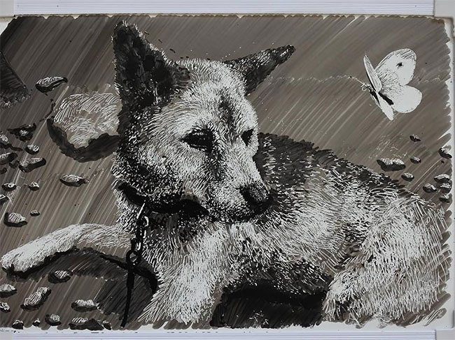 Рисунки на школьных досках японских школ Рисунки на школьных досках японских школ