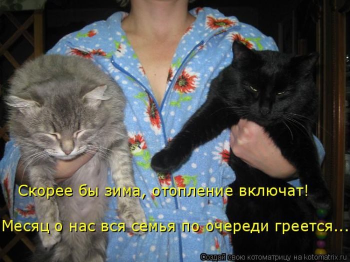 Лучшие котоматрицы за прошедшую неделю