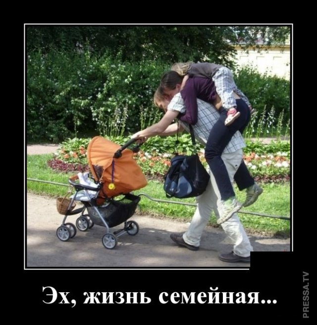 Веселые жизненные демотиваторы Веселые жизненные демотиваторы