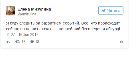 По делу высказалась Елена Мизулина, Председатель Комиссии Совета Федерации по подготовке предложений по совершенствованию Семейного кодекса Российской Федерации. алкоголь, дети, дтп, обвинение