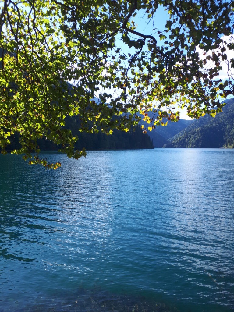 Кавказский голавль клюёт… на шашлык