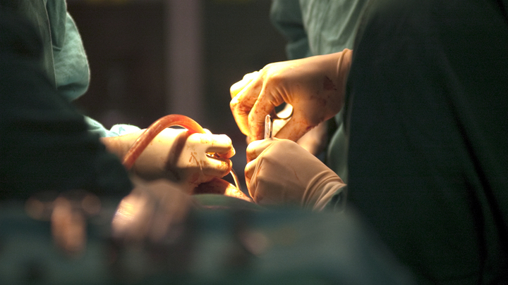 ДЬЯВОЛ КРОЕТСЯ В ЦИФРАХ: В РОССИИ ДЕЙСТВУЕТ ЛИЦЕНЗИЯ НА УБИЙСТВА