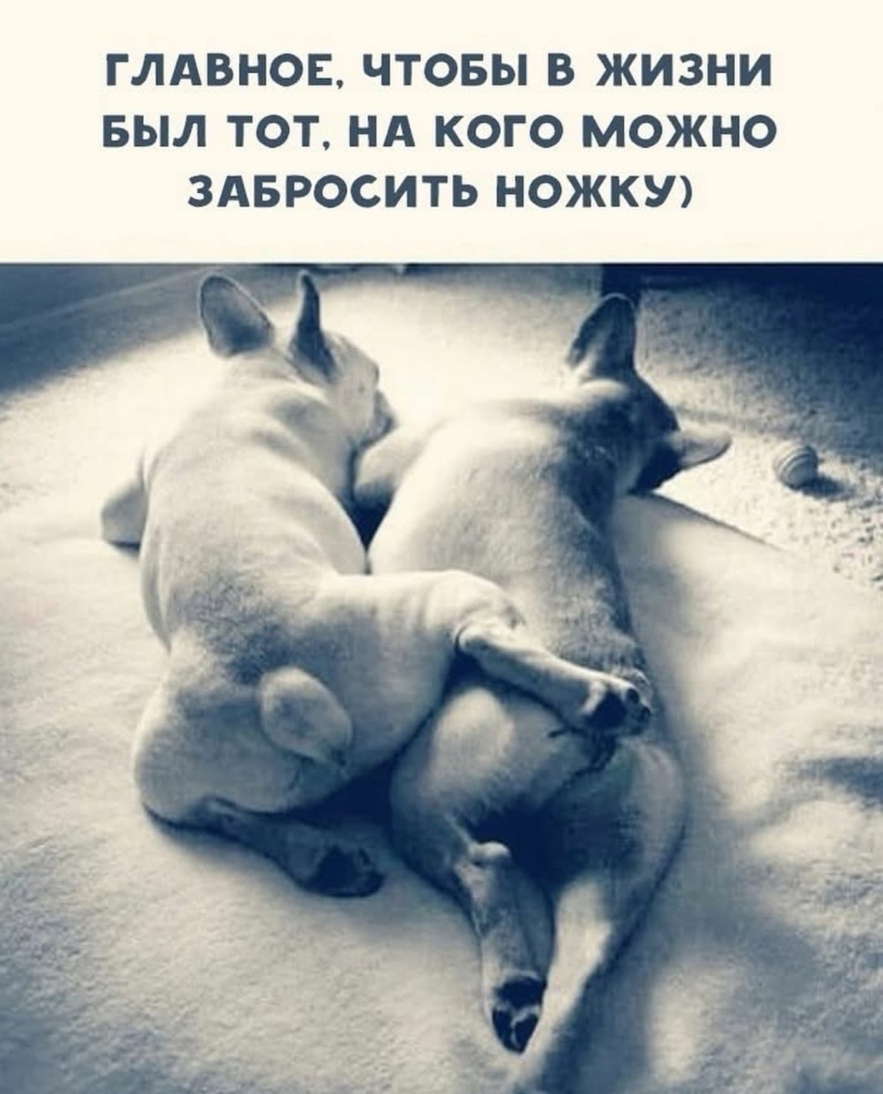 С психиатром трудно спорить. Ты ему - мысль, он тебе - диагноз С психиатром трудно спорить. Ты ему - мысль, он тебе - диагноз