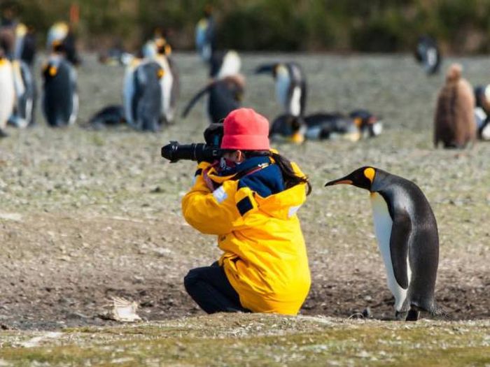 Подборка картинок. Дневной выпуск (55 фото)