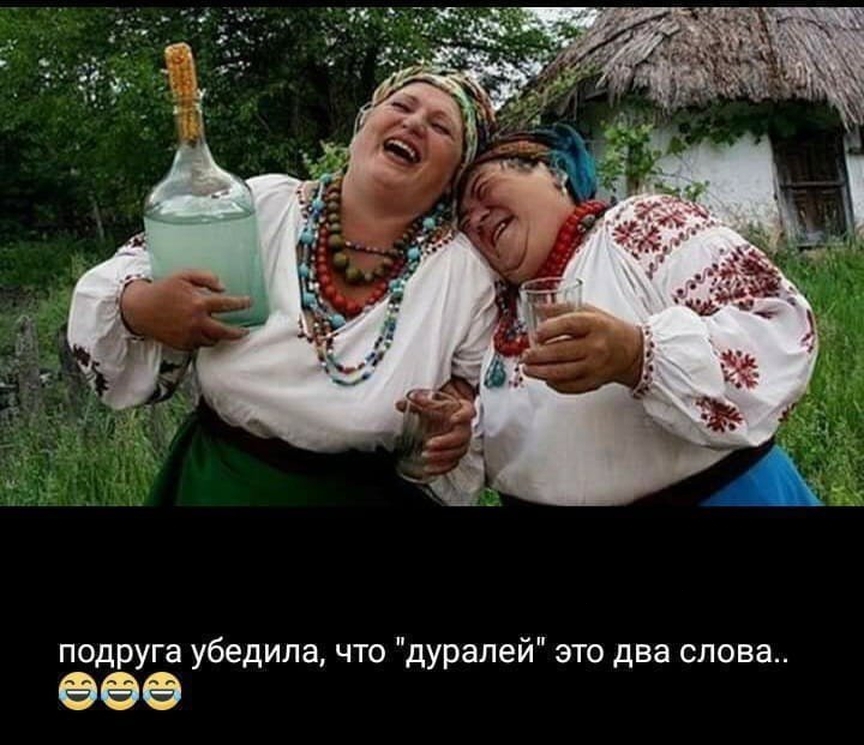 - Должен тебе признаться, что единственный мой недостаток - это искренность, моя ты кривоногая толстушка! - Должен тебе признаться, что единственный мой недостаток - это искренность, моя ты кривоногая толстушка! анекдоты,демотиваторы,приколы,юмор