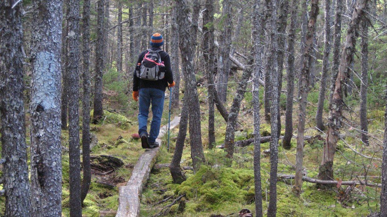 NV: Украина красивая, но дорогая и неудобная страна NV: Украина красивая, но дорогая и неудобная страна Общество