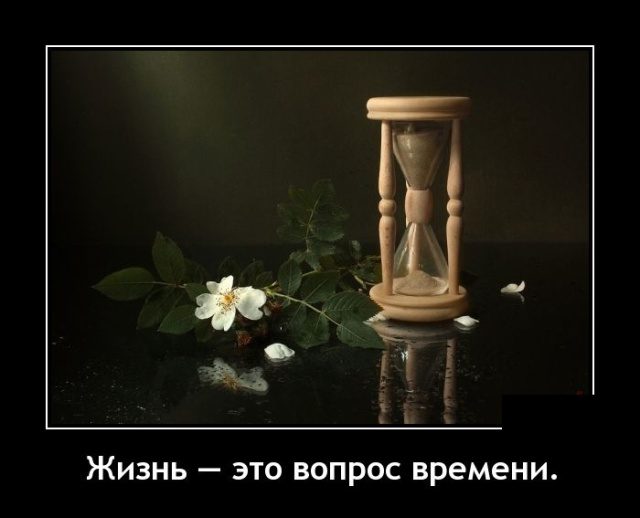 Новые демотиваторы дня Новые демотиваторы дня