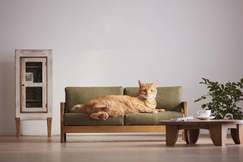 Крошечная комфортная мебель для котов мебели, которые, диваны, Кроме, здесь, насчитывается, порядка, мебельных, фабрикЭти, высококачественные, комфортные, Компания, кровати, ремеслах, являются, уменьшенной, копией, обычной, полноразмерной, придутся
