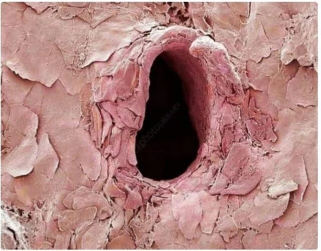 Фотография: Это интересно! 20 фото, которые гарантированно расширят ваш кругозор №3 - BigPicture.ru