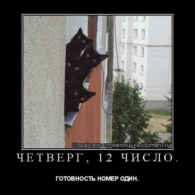 Лучшие котоматрицы за прошедшую неделю