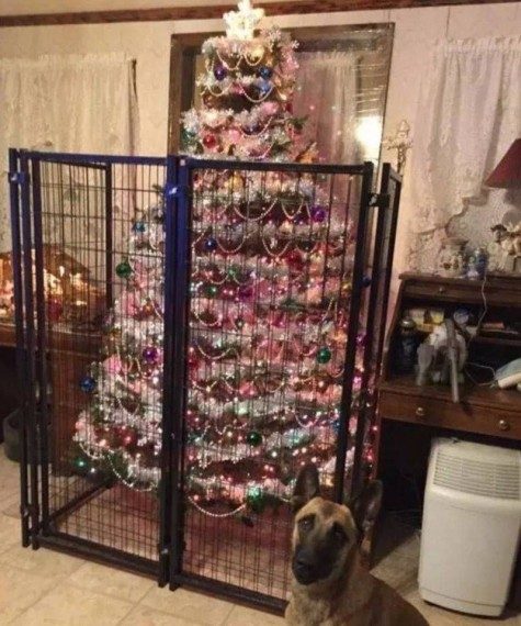 На позитивной волне! На позитивной волне!