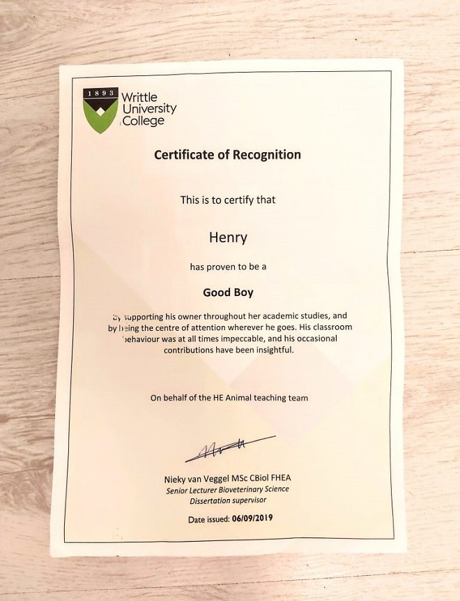 Сертификат колледжа 