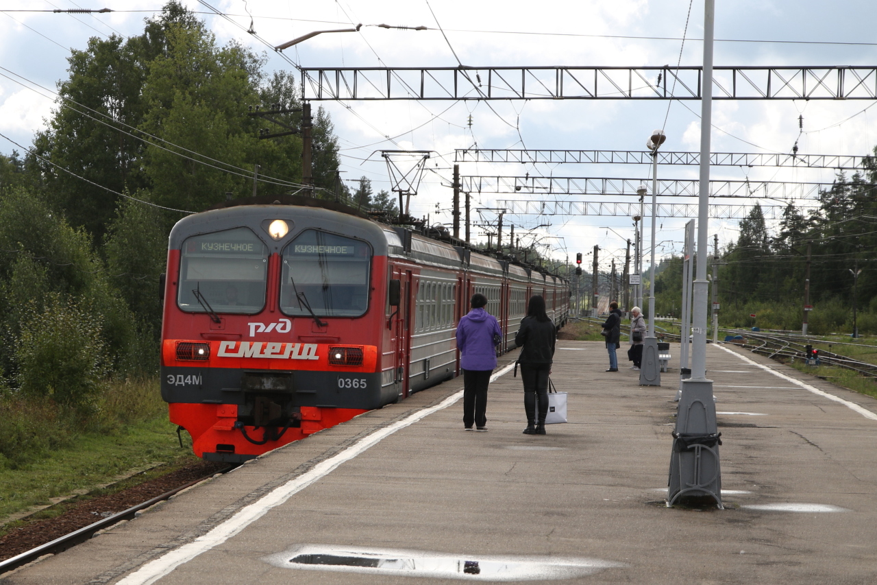 яхрома белый раст электричка фото 111