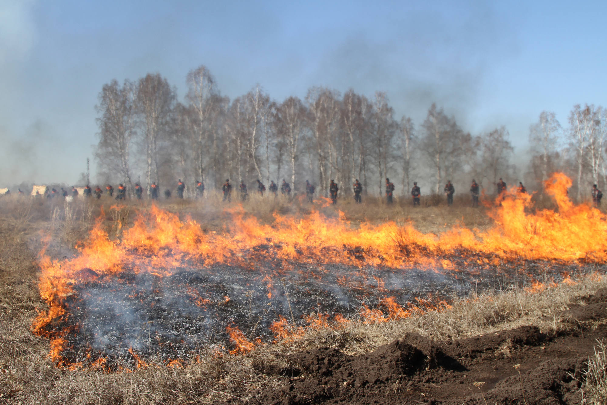 В Новосибирской области за сутки случилось 935 пожаров