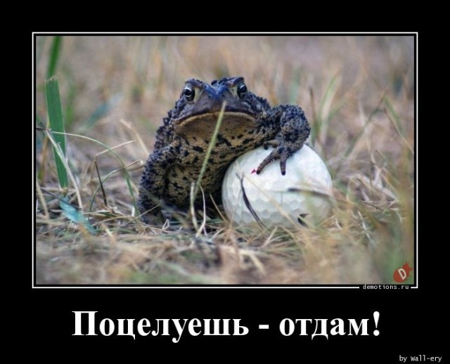 Новая коллекция прикольных демотиваторов для всех ценителей сарказма и юмора! 