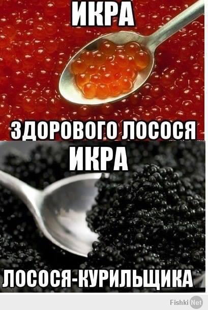 Анекдоты и прочее..