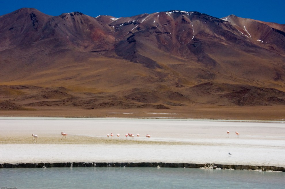 Захватывающий вид Соляного Моря соленые озера,солончаки,Южная Америка