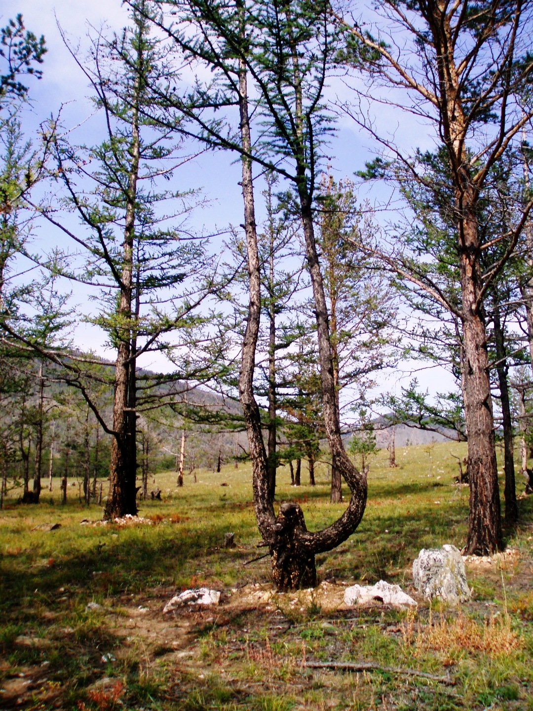 Прибайкалье. Маломорская Курма 