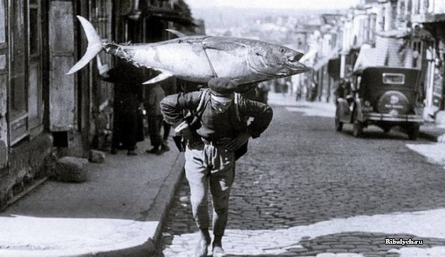 Старые фотографии, осколки истории