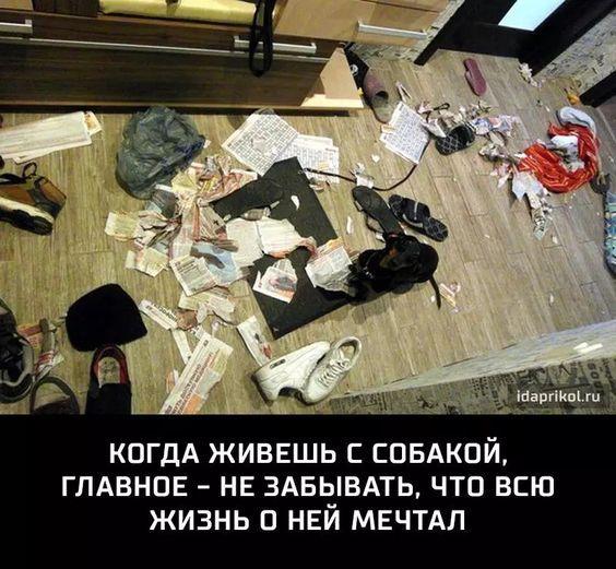 Юмористические открытки 