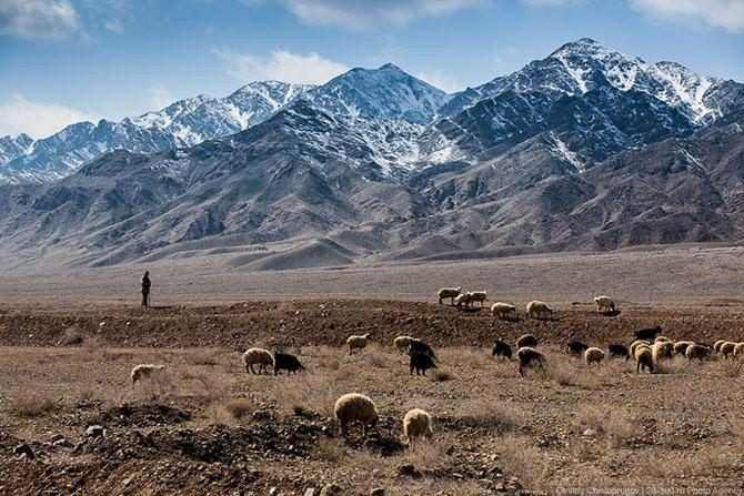 Из первых уст: волшебный Исфахан Из первых уст: волшебный Исфахан