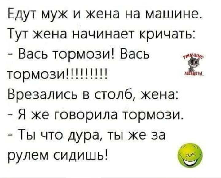 Жена тут. Вася тупит анекдоты. Дурак Вася тупить.