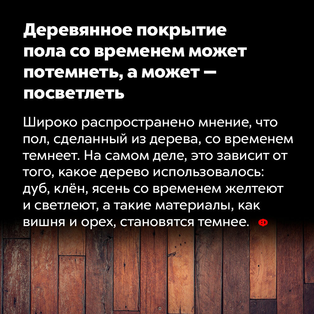 Чем опасна открытая планировка гостиной и на какой ноте «поют» унитазы: 7 удивительных фактов знали, унитазы, «поют», мибемоль  