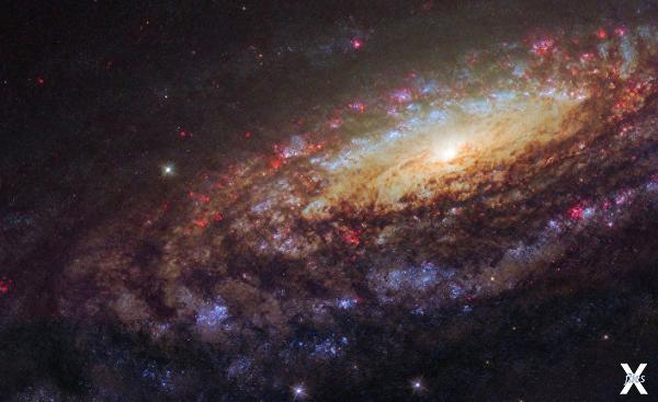 Фотография спиральной галактики NGC 7...