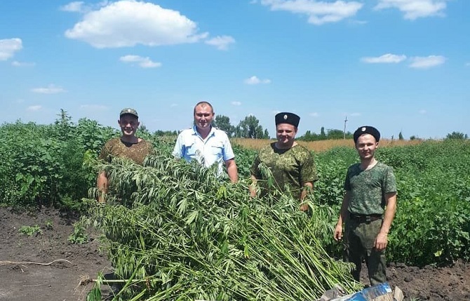 Где Купить Зерно Курганинском Районе Ст Михайловская