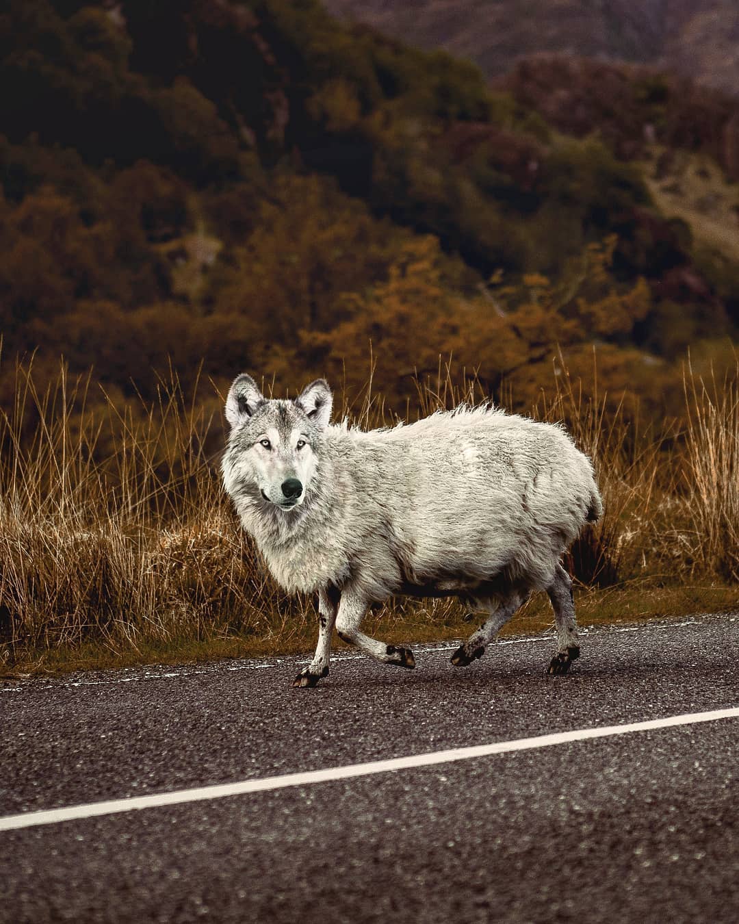 Фотография: Фантастические фотоманипуляции Джастина Майна №8 - BigPicture.ru