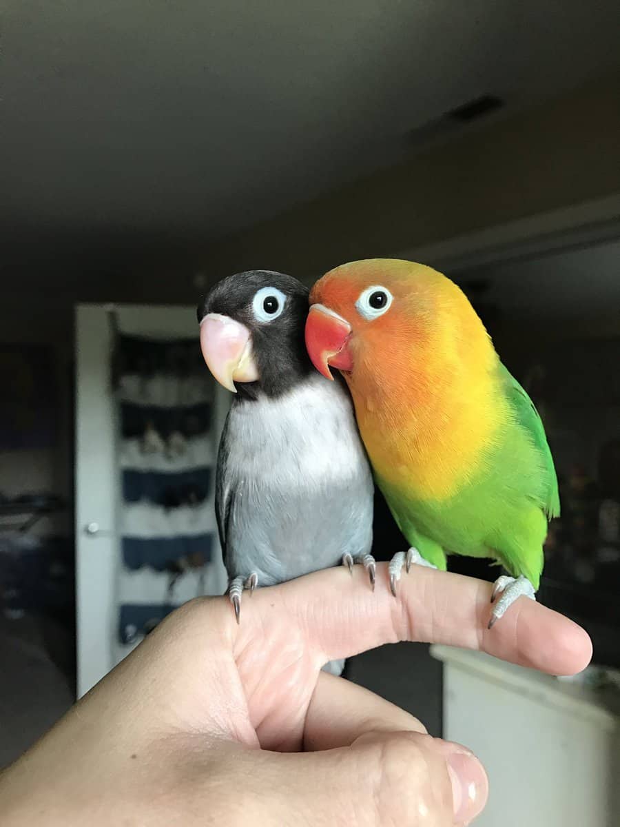 2970