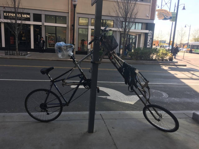 Фотоподборка четверга 