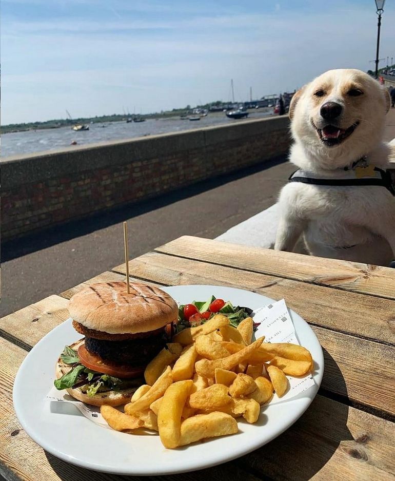 Подборка веселых и интересных картинок авто и мото,автоновости,автоюмор