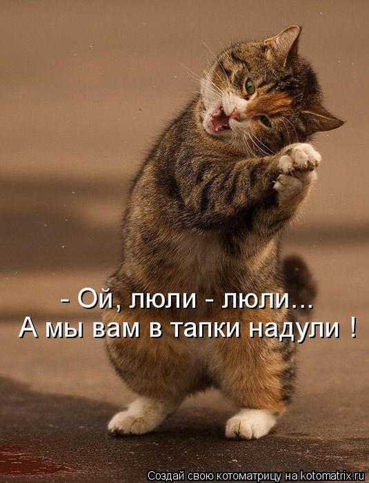 Мысли вслух :)