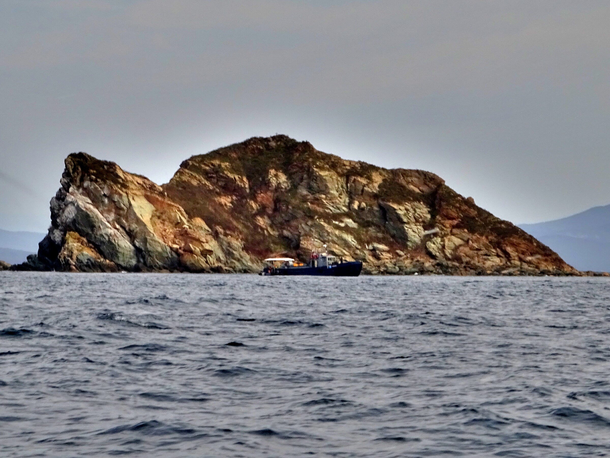 Путешествие к тюленям Ларги. Камни Унковского Путешествие к тюленям Ларги. Камни Унковского