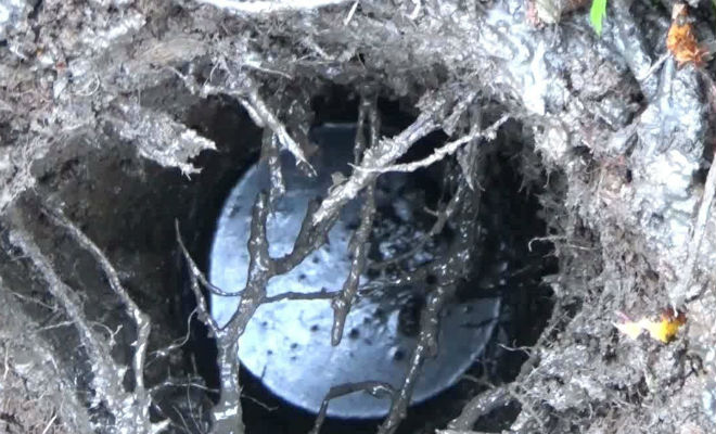 Добываем нефть прямо из земли