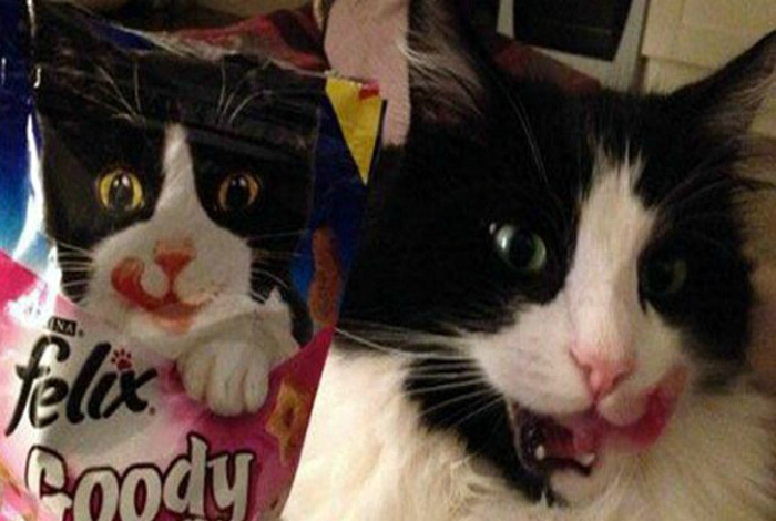 17 забавных комбинаций и совпадений, в реальность которых сложно поверить 