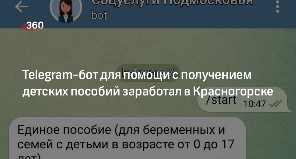 Telegram-бот для помощи с получением детских пособий заработал в Красногорске