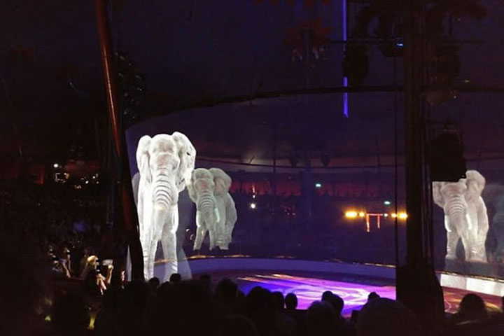 Вот как поступают с животными в немецком цирке! супер