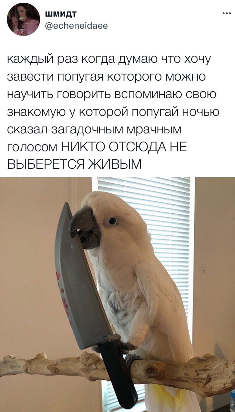 Юмор из интернета 628 Юмор из интернета 628 позитив,смех,улыбки,юмор