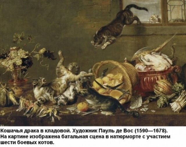 Свежая подборка позитива для счастья, радости, веселья Свежая подборка позитива для счастья, радости, веселья