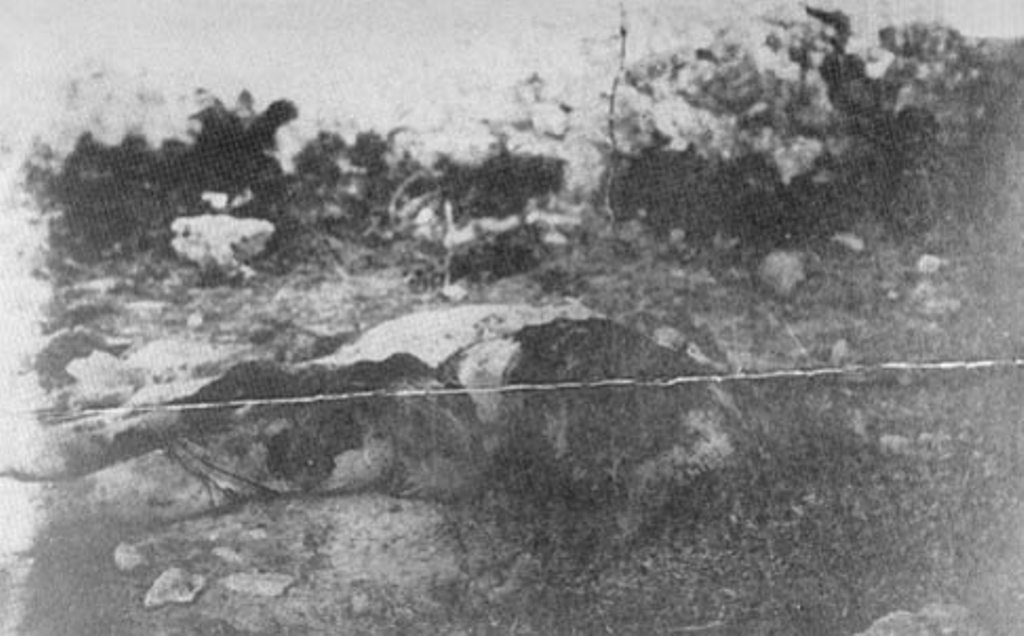 Изуродованные трупы жертв херсонской ЧК. 